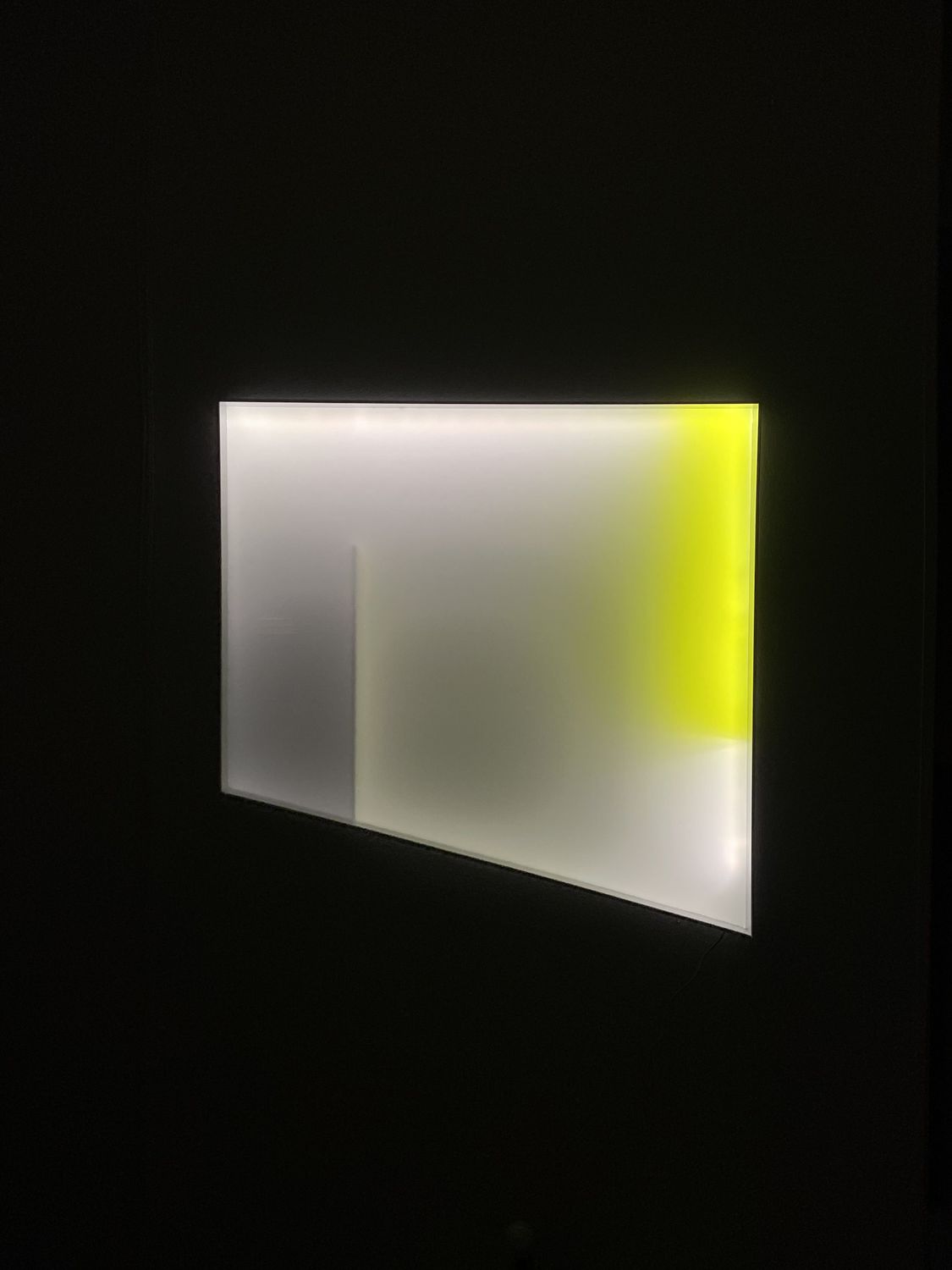 Artist-led Tour (PT/EN) – Artist: Raquel Amorim