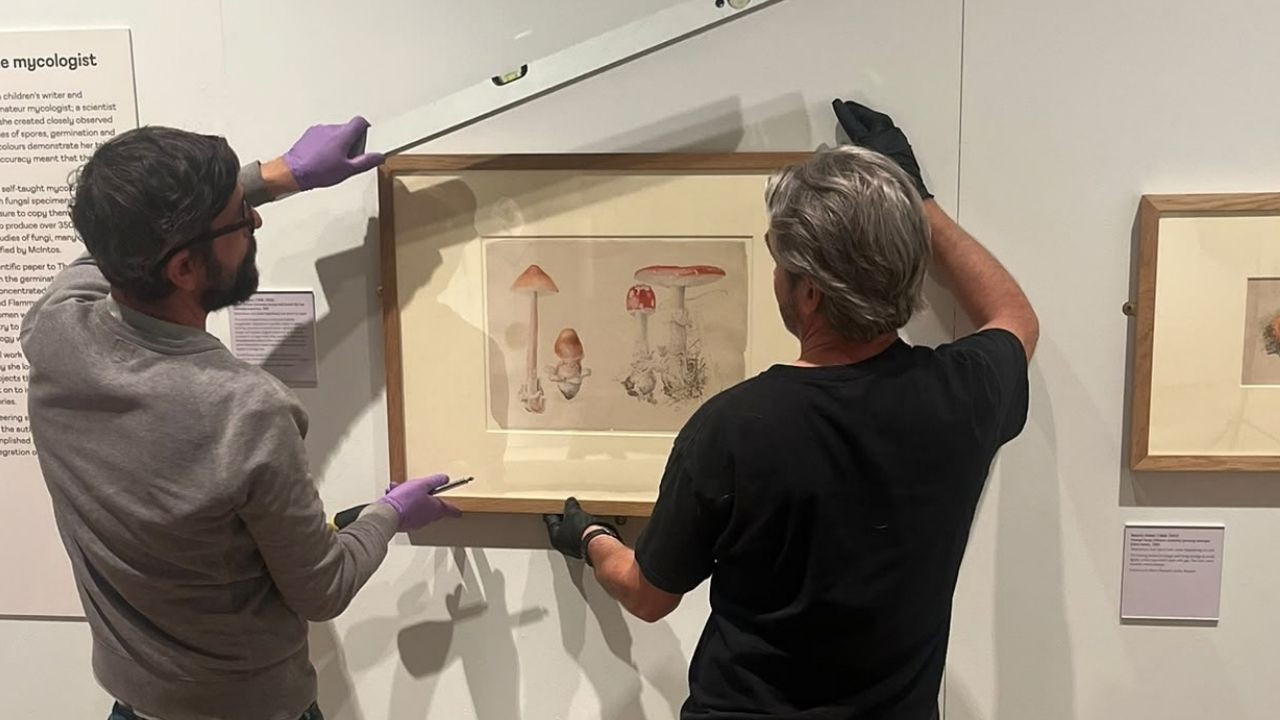 Beatrix Potter and Mycology with V&A curator of Illustration Annemarie Bilclough
