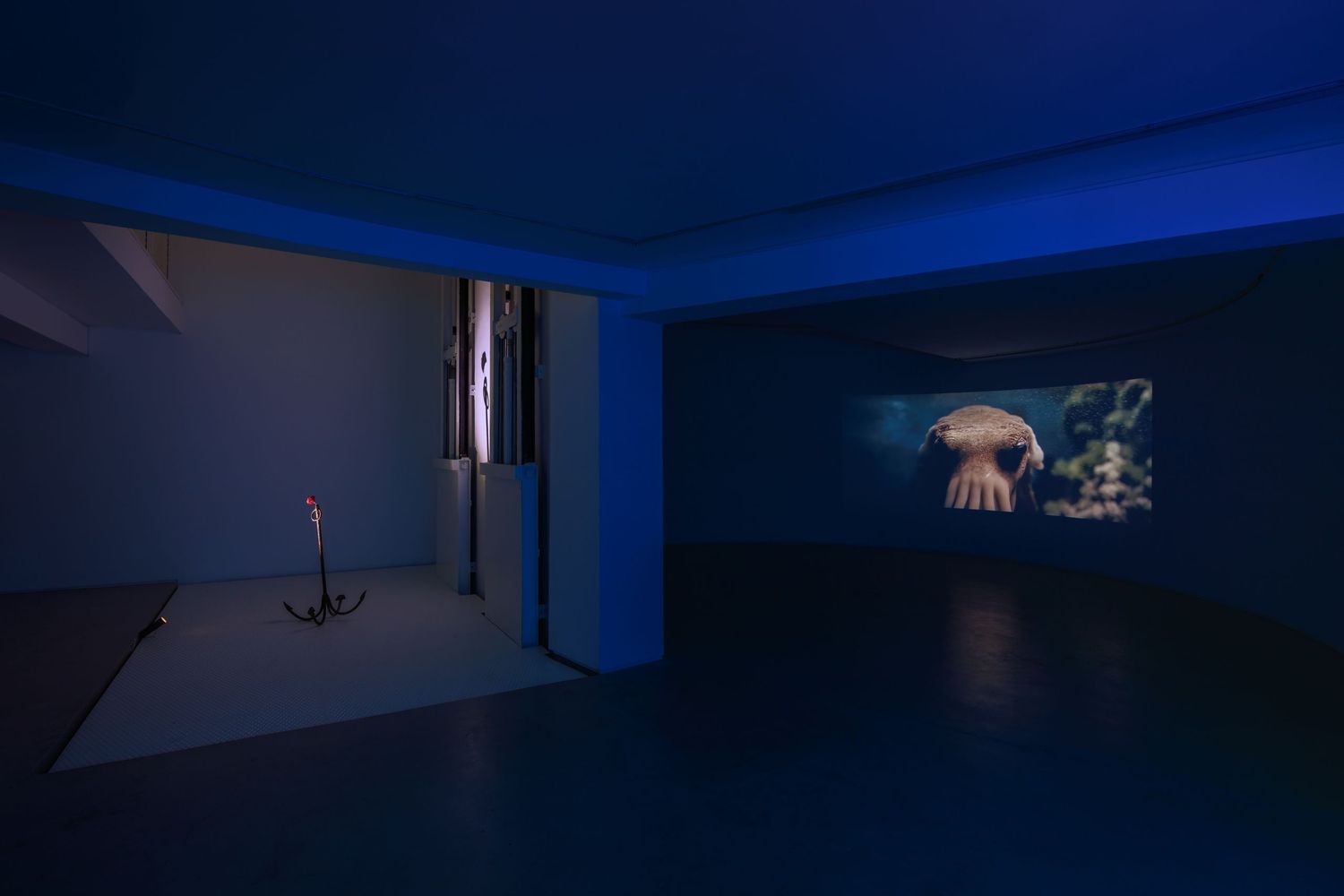 Brunch, Curator-led Tour, Finissage – Artist: Vica Pacheco