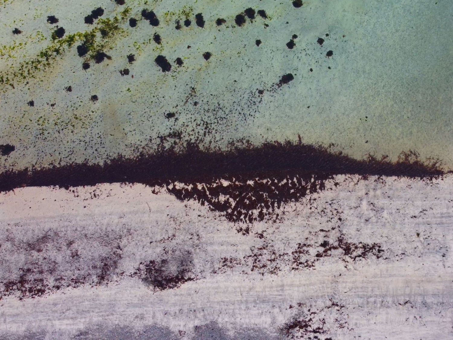 Conversation With Our Ocean