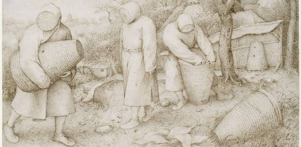 Dutch Drawings and Prints from the 16th and 17th Centuries