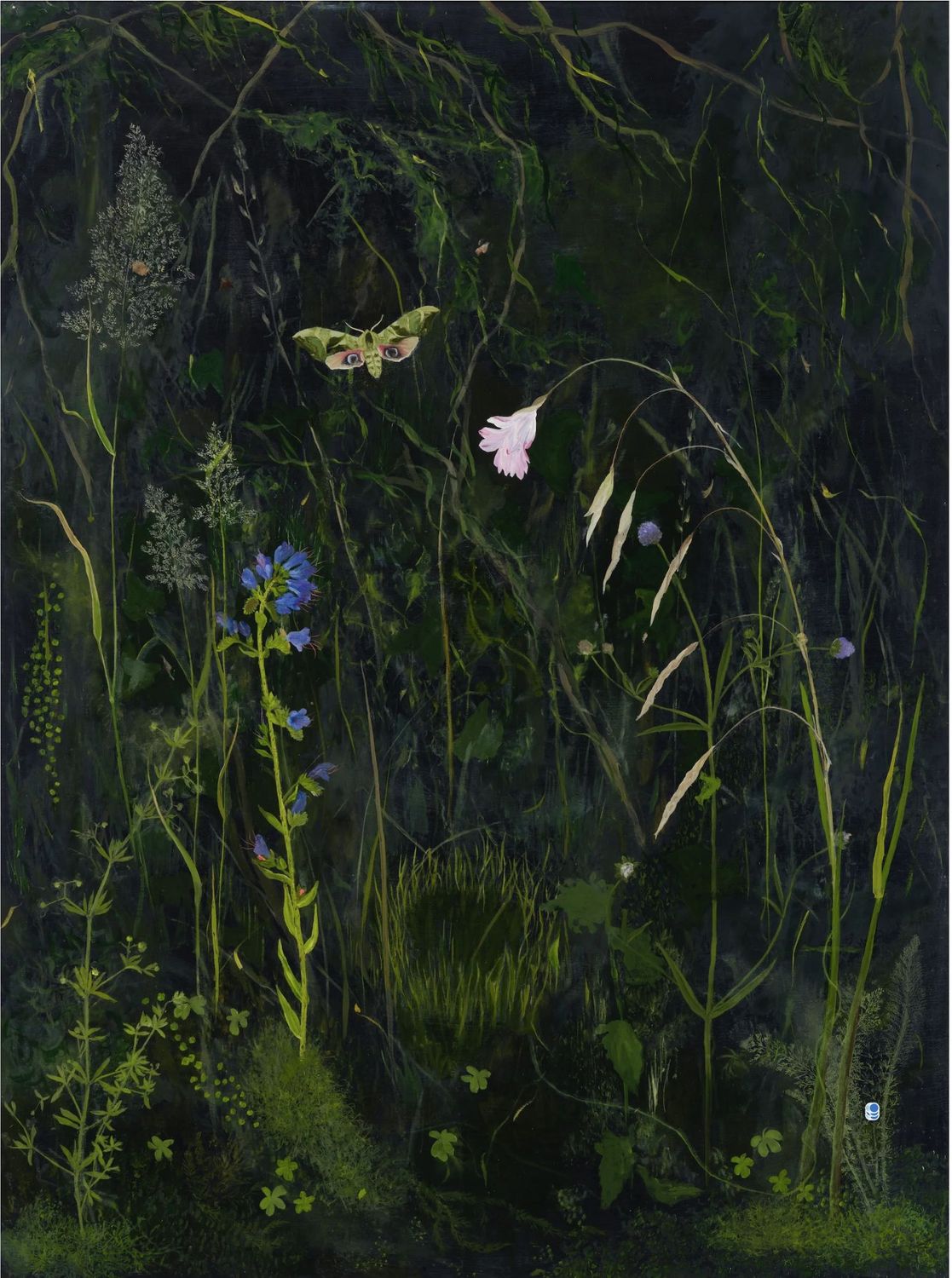 Eclipse: Melanie Miller