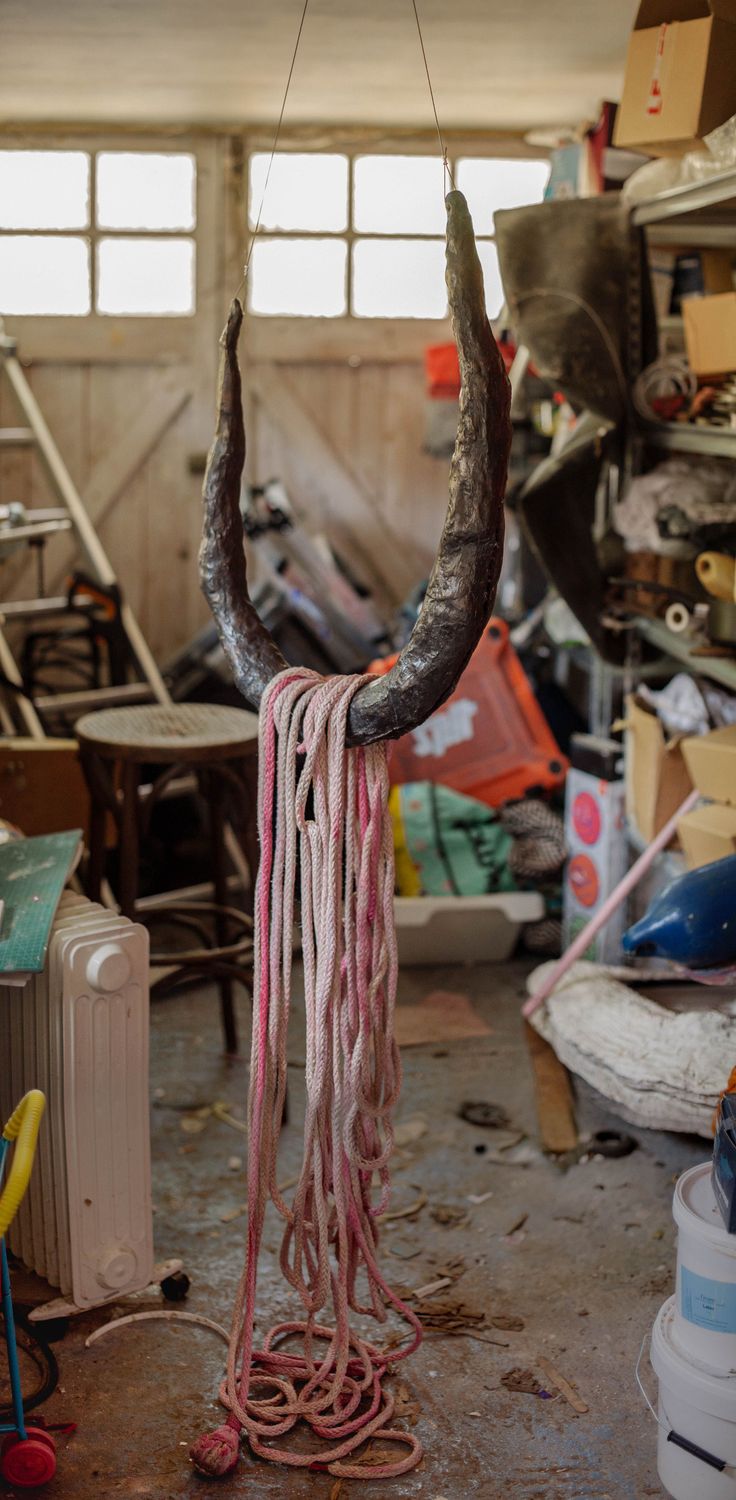 Emma Hunter: Visceral Shadows