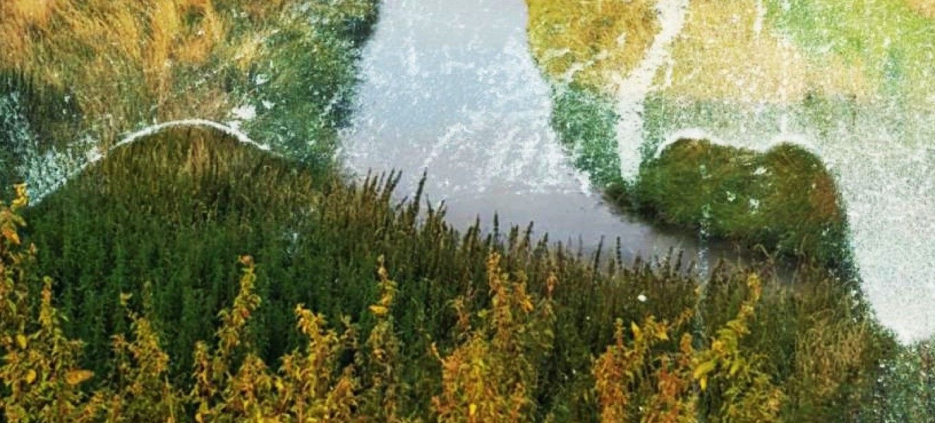 GroundWork: The Wash Estuary