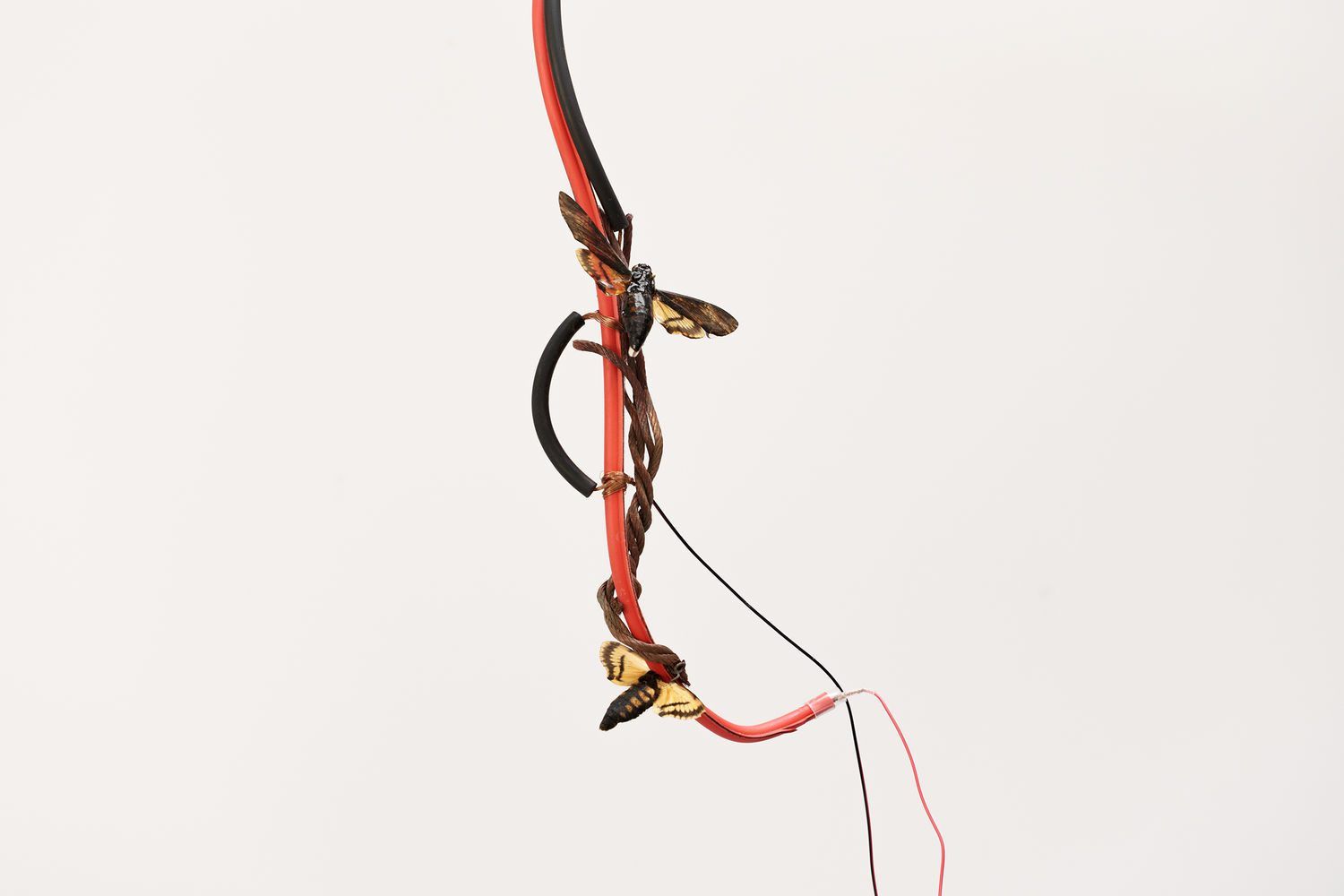 Hammer Projects: Vibeke Mascini