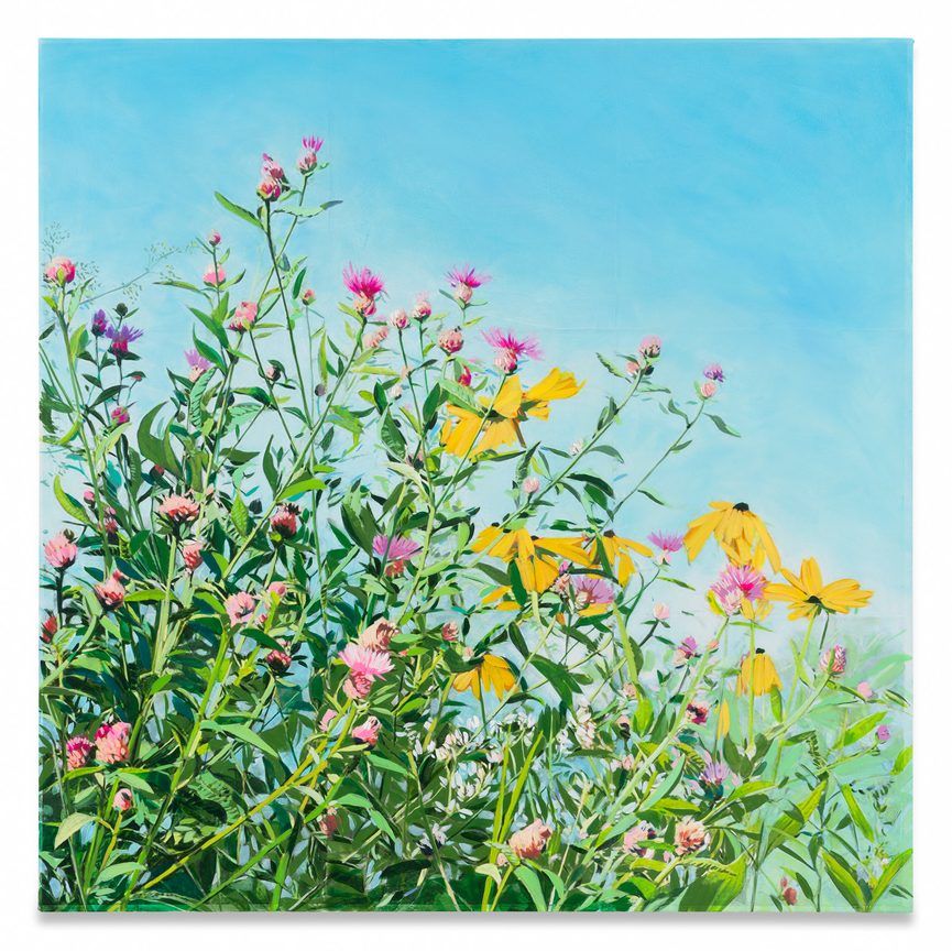Isca Greenfield - Sanders – The Language of Flowers
