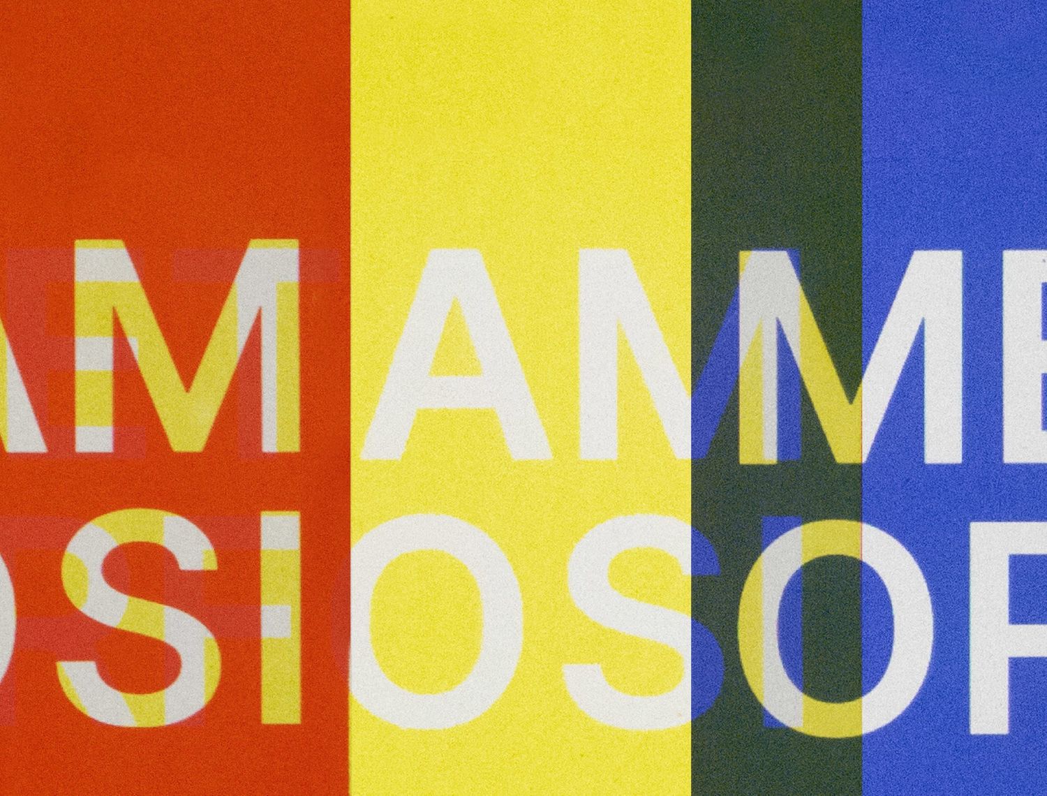 Liliana Moro – Metamorfosi