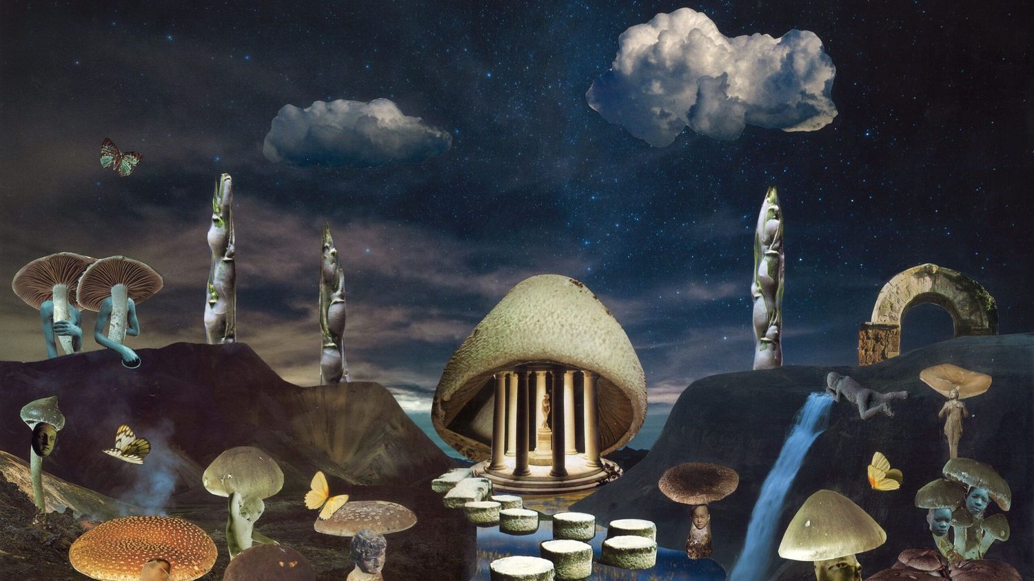 Living Labyrinths: Art and Fungi