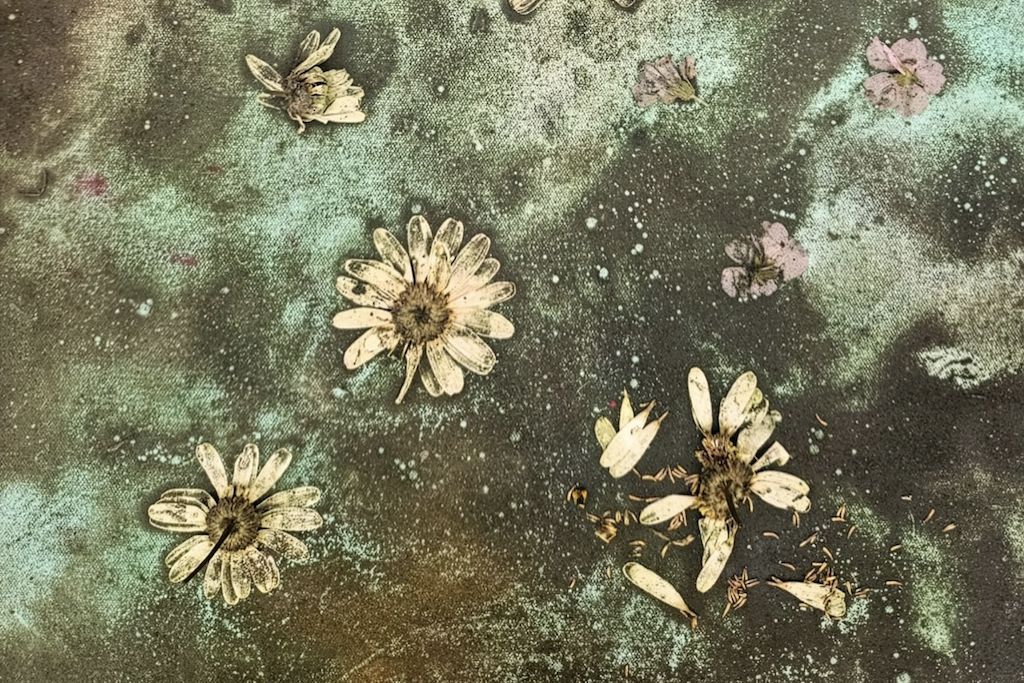 Lucy Dodd: The good, the true and the beautiful