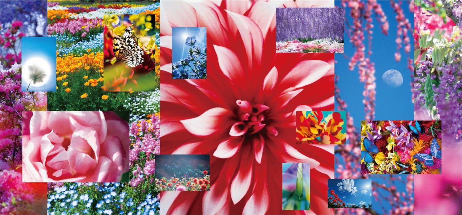 Mika Ninagawa: Feel the Flow(ers)