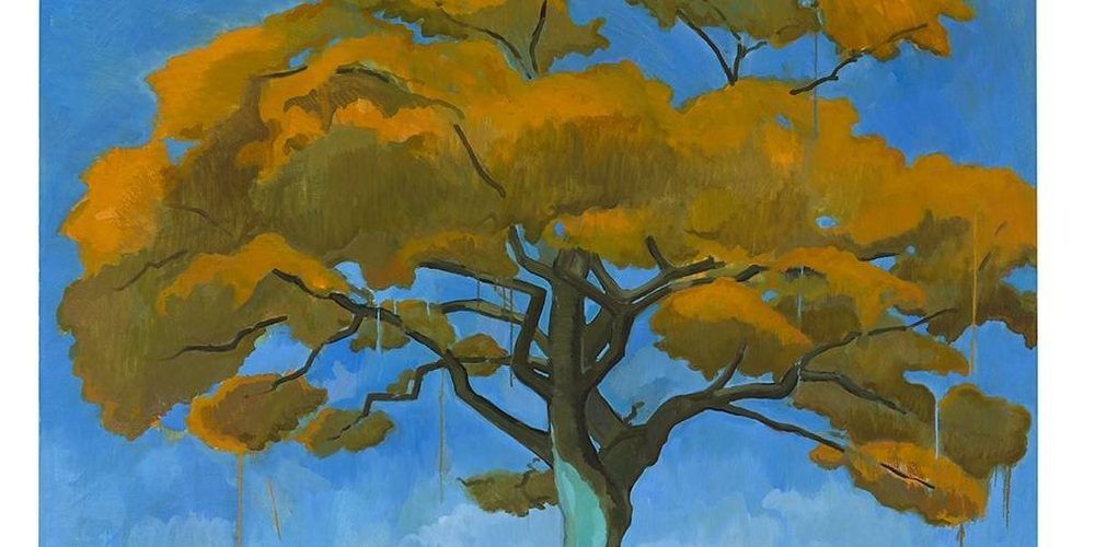 Nancy Cadogan: The Lost Trees