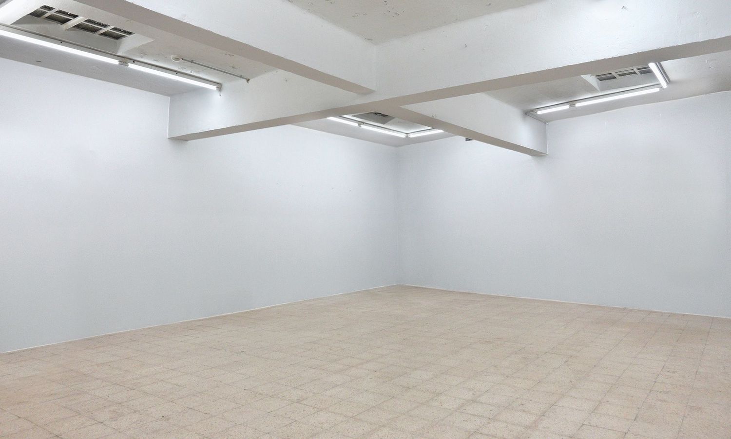 Opening: "8/7/6/5" (exhibition in performative evolution)