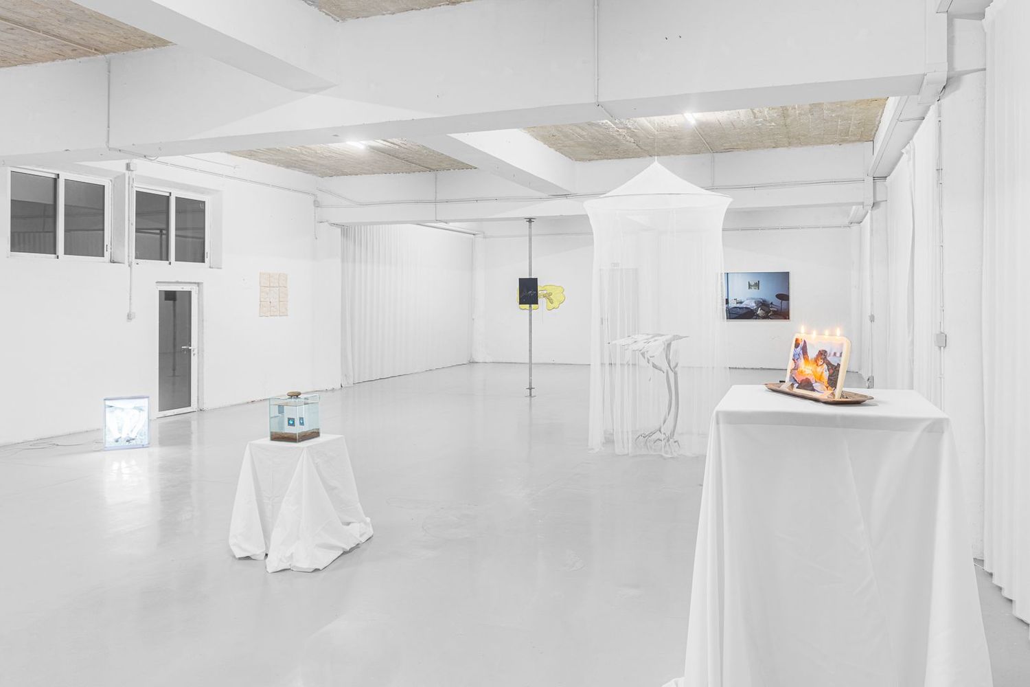Opening: Technologies of Intimacy