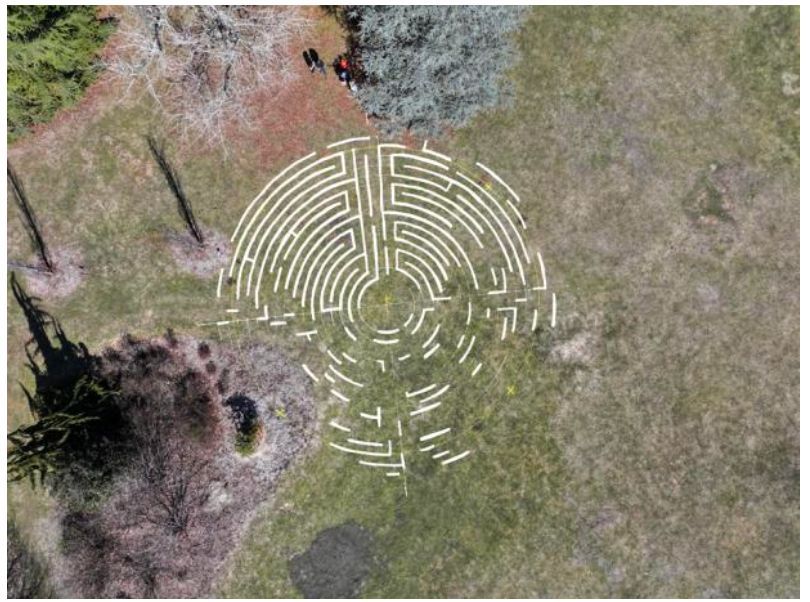 Planting Fields Foundation opens Catalyst 2026 project by Fiona Tan