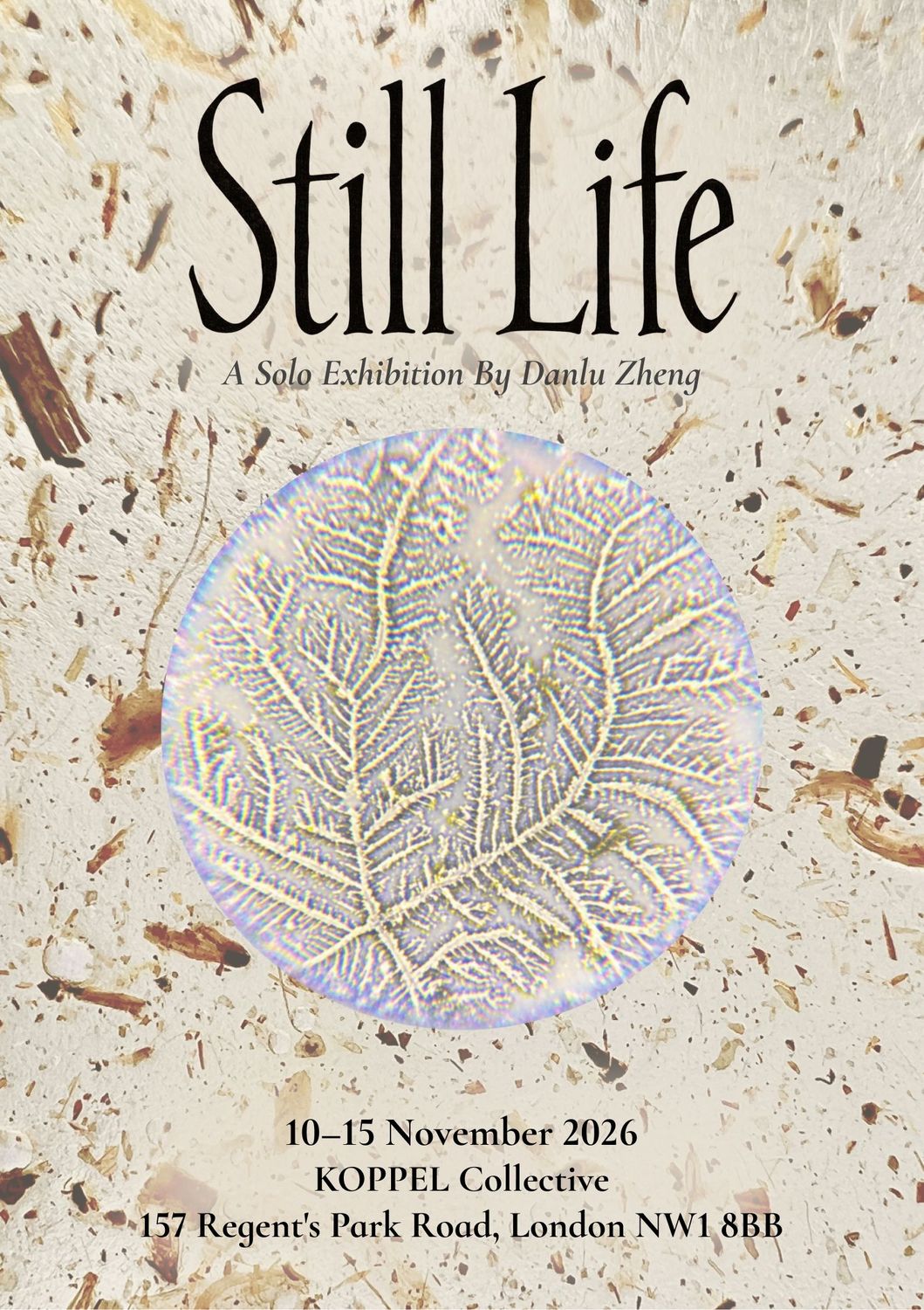 Still Life: Danlu Zheng Solo Exhibition