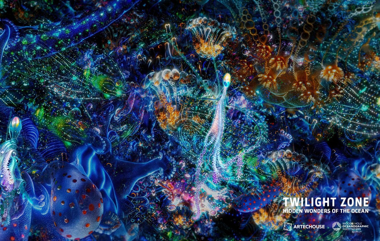 Twilight Zone: Hidden Wonders of the Ocean